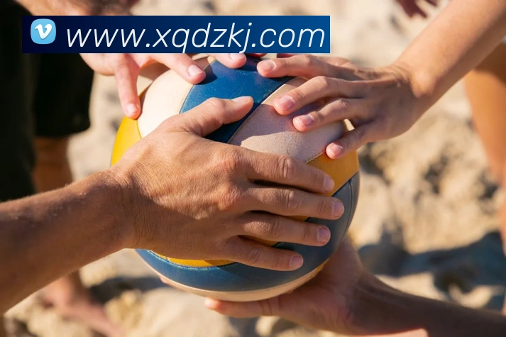 多媒体互动体验